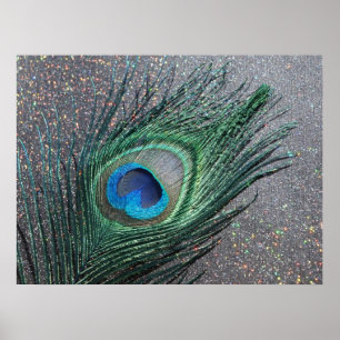 Sparkly Black Peacock Feather-nog leven Poster
