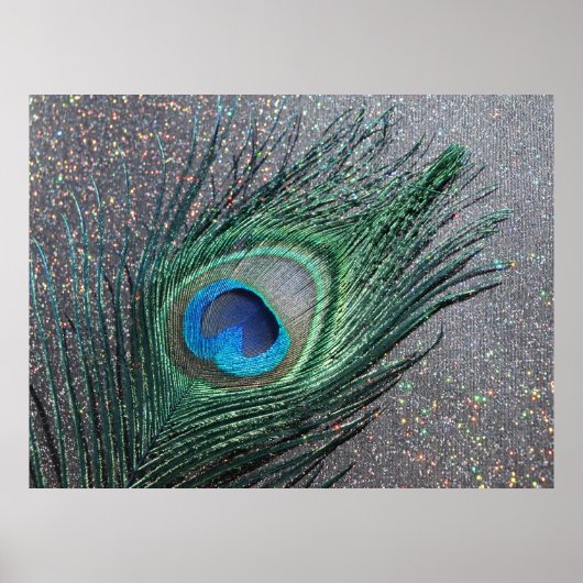 Sparkly Black Peacock Feather-nog leven Poster (Voorkant)