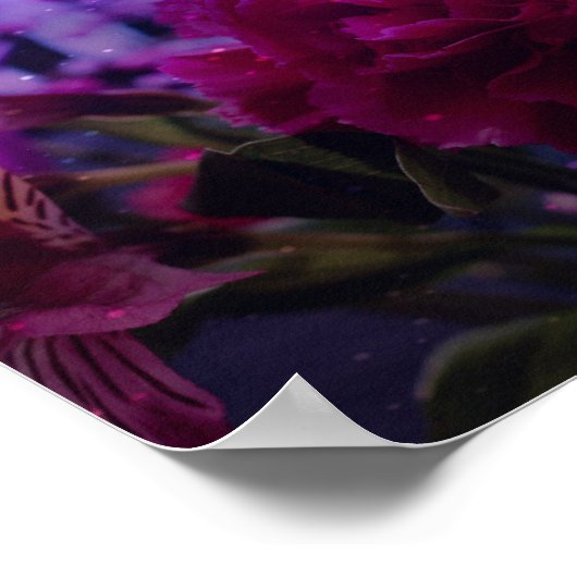 Sparkly Carnly Poster (Hoek)