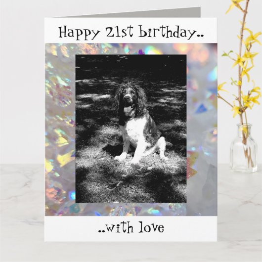 Sparkly springer spaniel 21ste verjaardagskaart kaart (Gele Bloem)