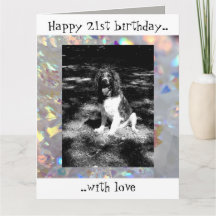 Sparkly springer spaniel 21ste verjaardagskaart