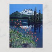 Sparks Briefkaart (Voorkant)