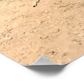 Sparks Lake, Oregon Poster (Hoek)