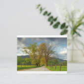 Sparks Lane Cades Cove Briefkaart (Staand voorkant)