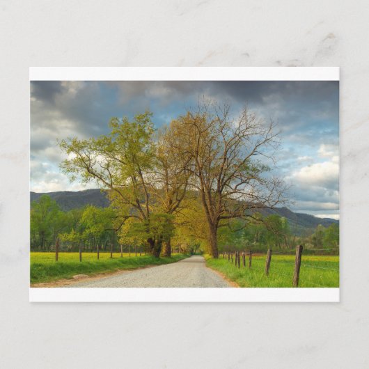 Sparks Lane Cades Cove Briefkaart (Voorkant)