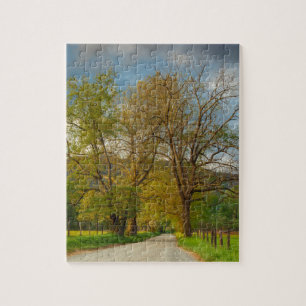 Sparks Lane Cades Cove Legpuzzel