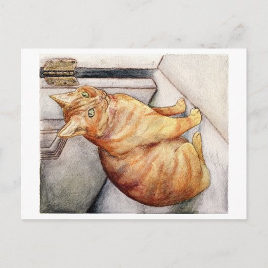 Sparky Briefkaart (Voorkant)