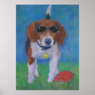 Sparky Dog: een poster zien