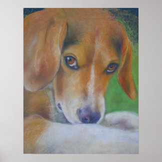 Sparky Dog:  Eyes Poster