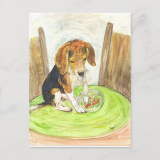 Sparky in de viskom briefkaart