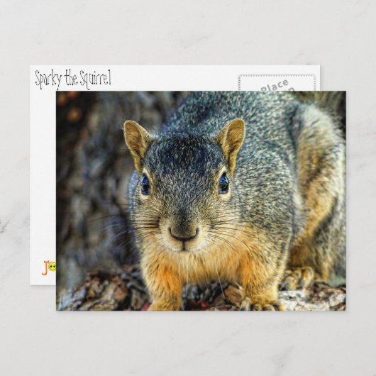 Sparky the Squirrel Briefkaart (Voorkant / Achterkant)