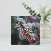 Sparren met vorst kerstgroet kaart (Staand voorkant)