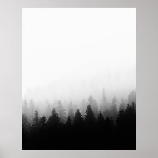 Sparrenbos in mist poster (Voorkant)