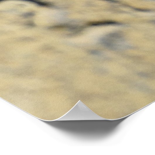 Sparrenburg Poster (Hoek)