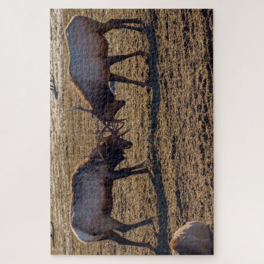Sparring Bull Elk Legpuzzel (Verticaal)