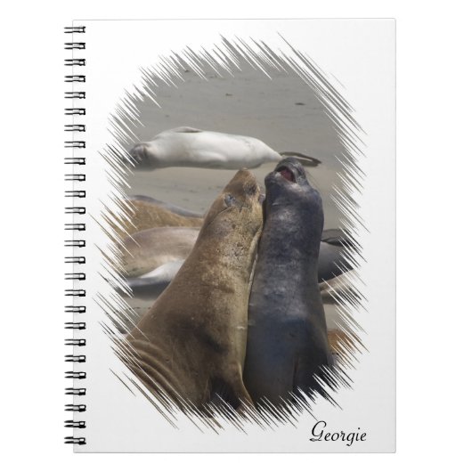 Sparring Elephant Seals Notitieboek (Voorkant)