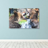 Sparring Grizzly Beren Canvas Afdruk (Insitu (Houten vloer))
