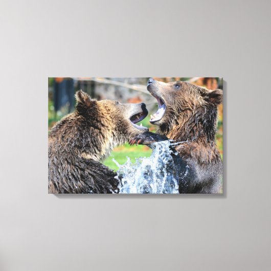 Sparring Grizzly Beren Canvas Afdruk (Voorkant)