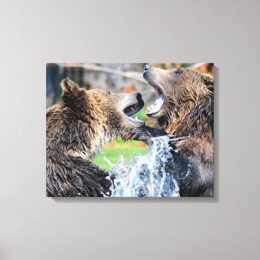 Sparring Grizzly Beren Canvas Afdruk (Voorkant)