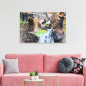 Sparring Grizzly Beren Canvas Afdruk (Insitu (Woonkamer))