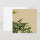 Sparrow Advieskaart (Voorkant / Achterkant)