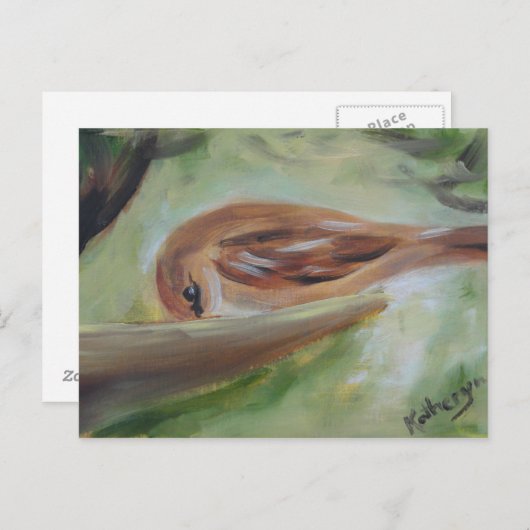 Sparrow at Feeder Briefkaart (Voorkant / Achterkant)