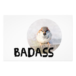 Sparrow - Badass Foto Afdruk