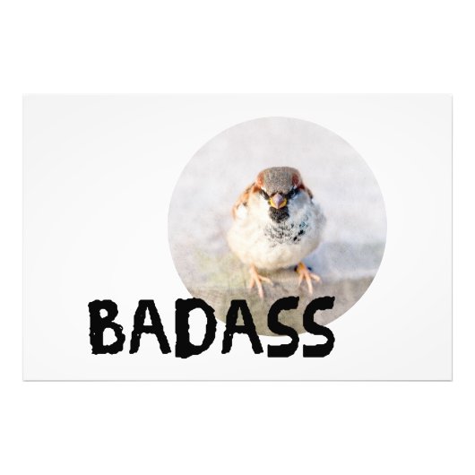 Sparrow - Badass Foto Afdruk (Voorkant)