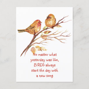 Sparrow Bird Inspirerend Aanmoedigend Citaat Briefkaart
