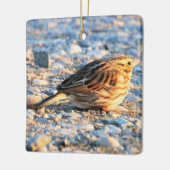 Sparrow Bird Keramisch Ornament (Links)