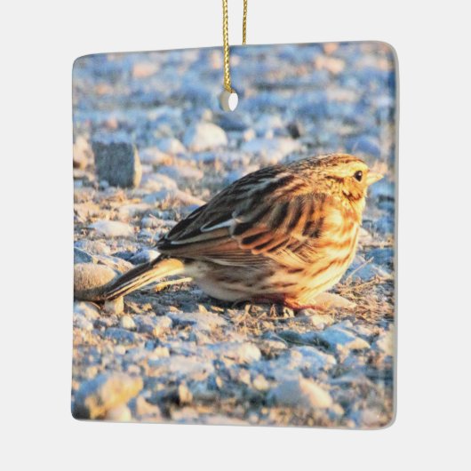 Sparrow Bird Keramisch Ornament (Links)
