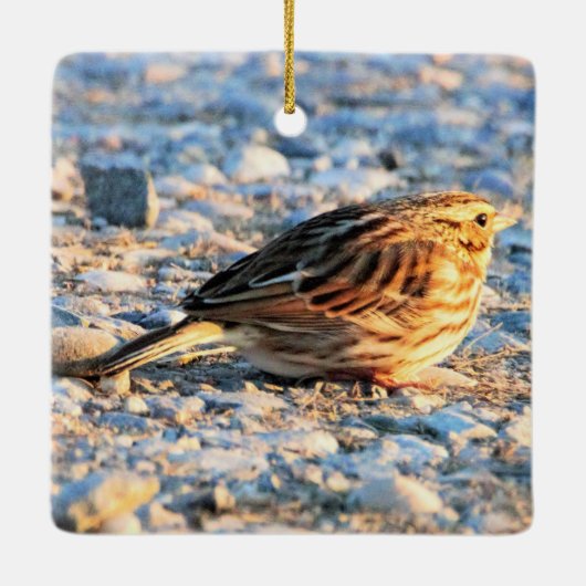 Sparrow Bird Keramisch Ornament (Achterkant)