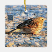 Sparrow Bird Keramisch Ornament (Voorkant)