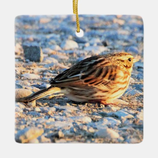 Sparrow Bird Keramisch Ornament (Voorkant)