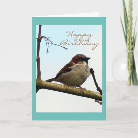 Sparrow Birthday-kaart Kaart (Voorkant)