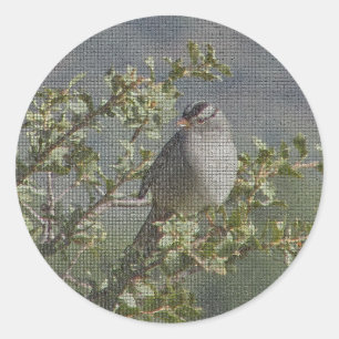 Sparrow Branch Wild Bird Photo Mosaic Birdwatcher Ronde Sticker