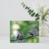 Sparrow Briefkaart (Staand voorkant)