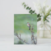 Sparrow Briefkaart (Staand voorkant)