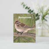 Sparrow Briefkaart (Staand voorkant)