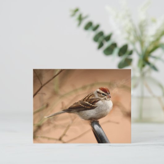 Sparrow Briefkaart (Staand voorkant)