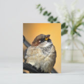 Sparrow Briefkaart (Staand voorkant)
