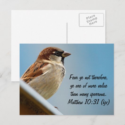 Sparrow Briefkaart (Voorkant / Achterkant)