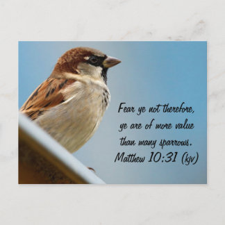 Sparrow Briefkaart