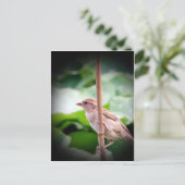 Sparrow Briefkaart (Staand voorkant)