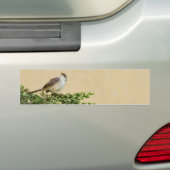 Sparrow Bumpersticker (Op auto)