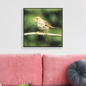 Sparrow Canvas Afdruk (Insitu (Woonkamer))