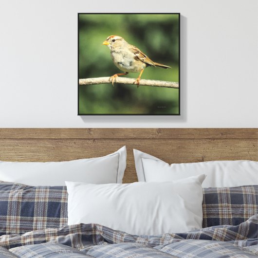 Sparrow Canvas Afdruk (Insitu (Slaapkamer))
