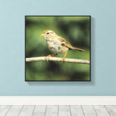Sparrow Canvas Afdruk (Insitu (Houten vloer))
