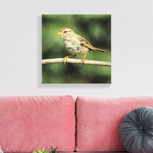 Sparrow Canvas Afdruk (Insitu (Woonkamer))