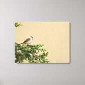 Sparrow Canvas Afdruk (Voorkant)
